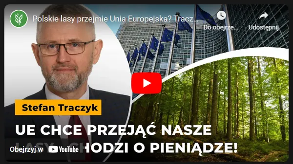 Polskie lasy przejmie Unia Europejska? Traczyk: chodzi o ogromne pieniądze!
