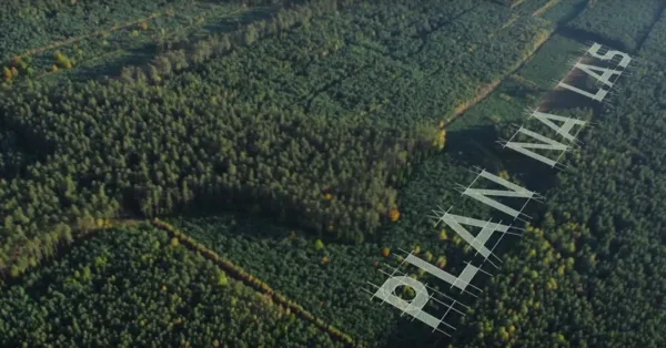 Aktywnie uczestniczymy w procedowaniu planów urządzania lasu