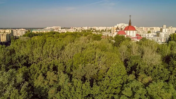 Posłowie chcą ograniczenia wycinki lasów w aglomeracjach miejskich