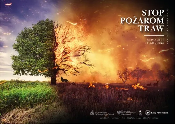 Sezon na pożary lasów