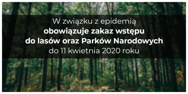 Tymczasowy zakaz wstępu do lasu