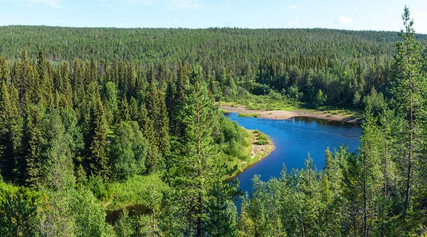 Finlandia krytykuje unijną politykę leśną