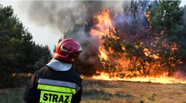Stanowisko SLiWL dot. projektu rozporządzenia Ministra Spraw Wewnętrznych i Administracji zmieniającego rozporządzenie w sprawie ochrony przeciwpożarowej budynków, innych obiektów budowlanych i terenów.