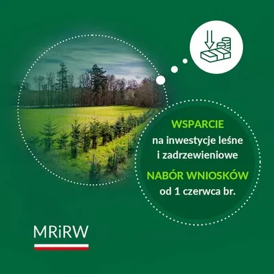 Rusza nabór wniosków na inwestycje leśne i zadrzewieniowe w ramach PS WPR 2023-2027