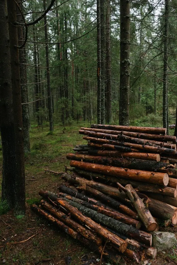 Drewno z lasów prywatnych